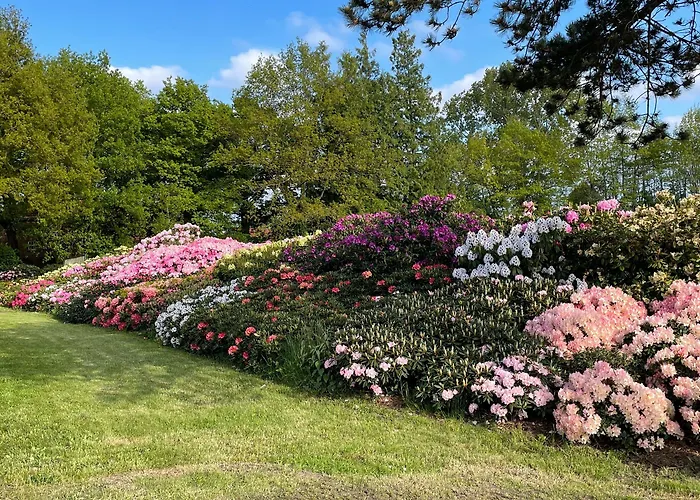 Hotel Schokoladenhotel Westerstede